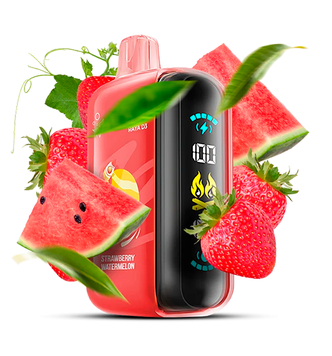 Одноразка ЕльБар Raya D3 25000 Strawberry Watermelon a-4010 фото